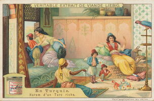 01-03 Harem d'un Turc riche