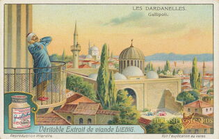 02-02 Les Dardanelles. Gallipoli