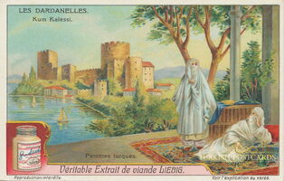 02-06 Les Dardanelles. Kum Kalesi