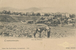 1203 Iles des Princes