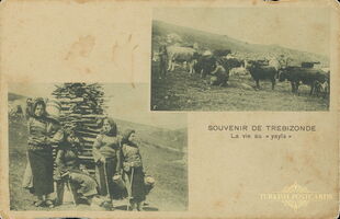 38 La vie au "yayla"