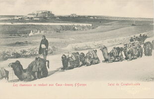 61949 Les chameaux se rendant aux Eaux-douces dEurope