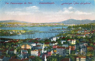 MJC042-7541 [2]