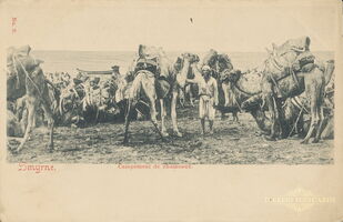 12-Smyrne-Campement de chameaux