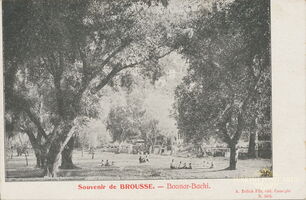 503 Bounar-bachi - Souvenir de Brousse
